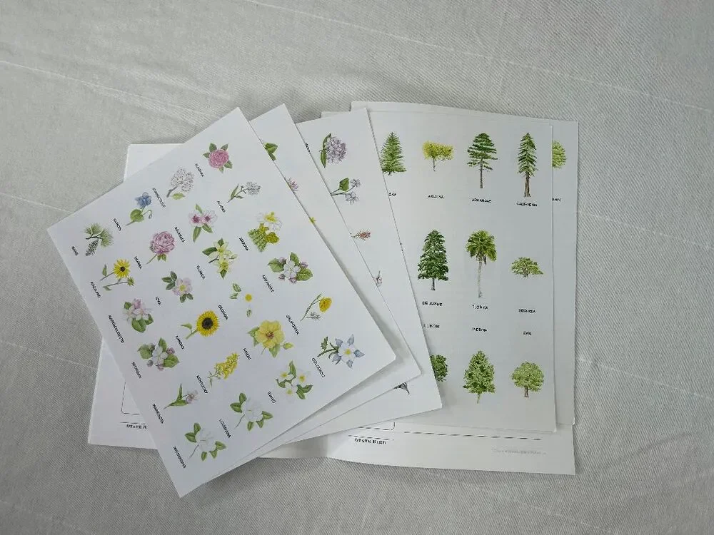 GeoMatters Junior State Notebook New w/Stickers Homeschooling Geography